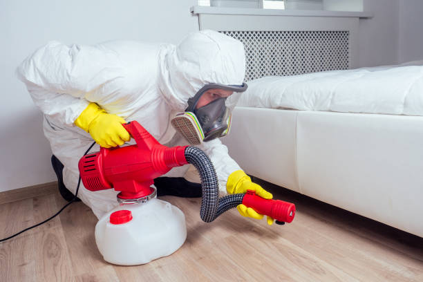 Best Pest Control Near Me  in South Run, VA