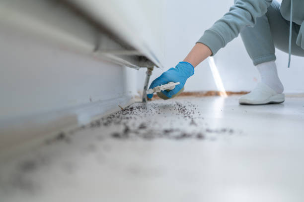  South Run, VA Pest Control Pros