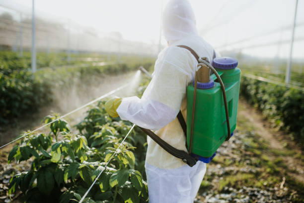 Best Pest Control Cost  in South Run, VA